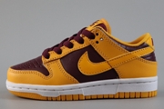 Kids Dunk SB C28